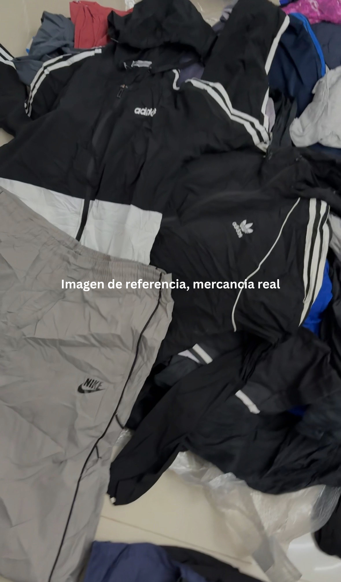 LOTE DE INVIERNO | CALIDAD A+
