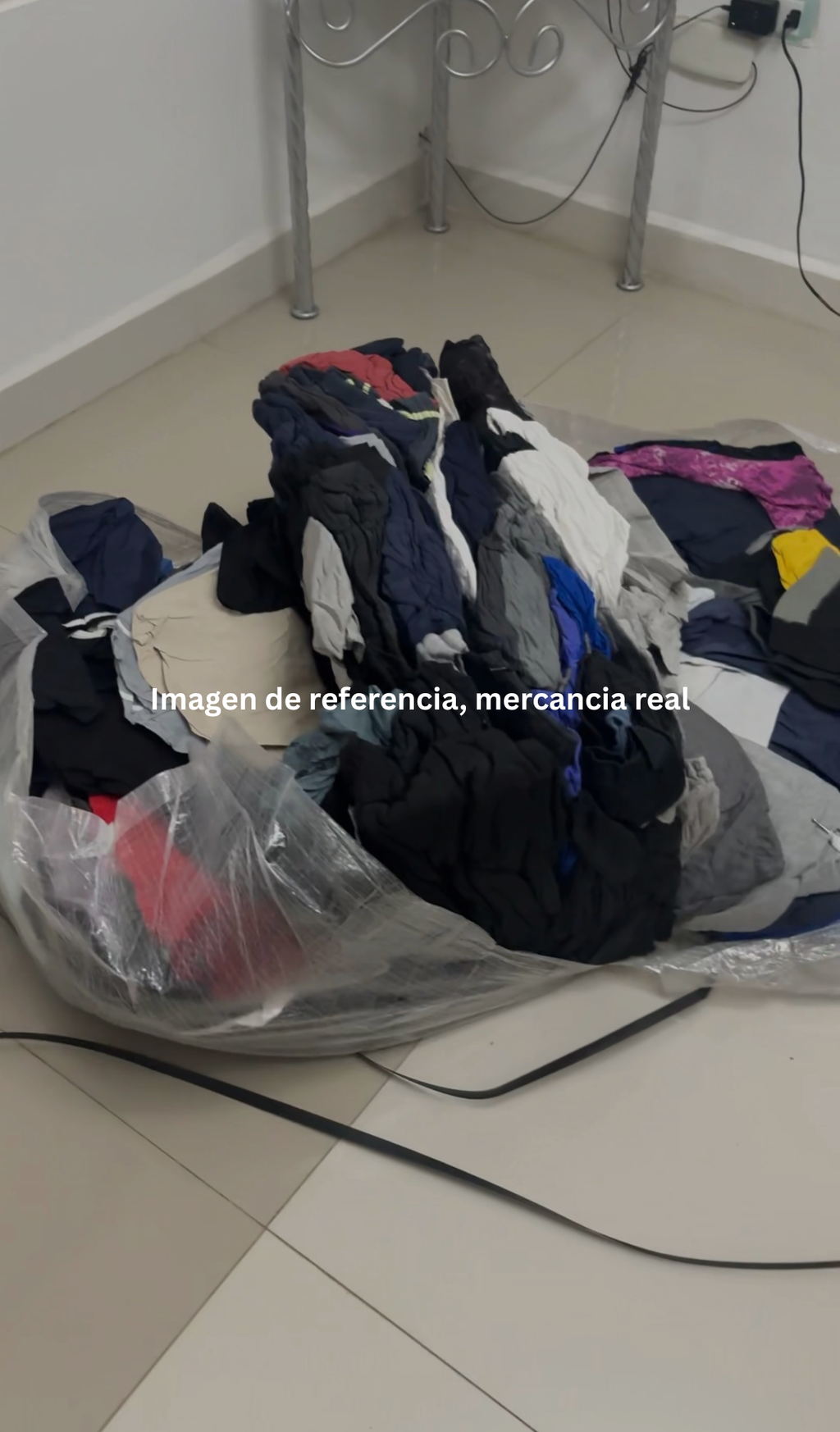 PACA DE INVIENRO