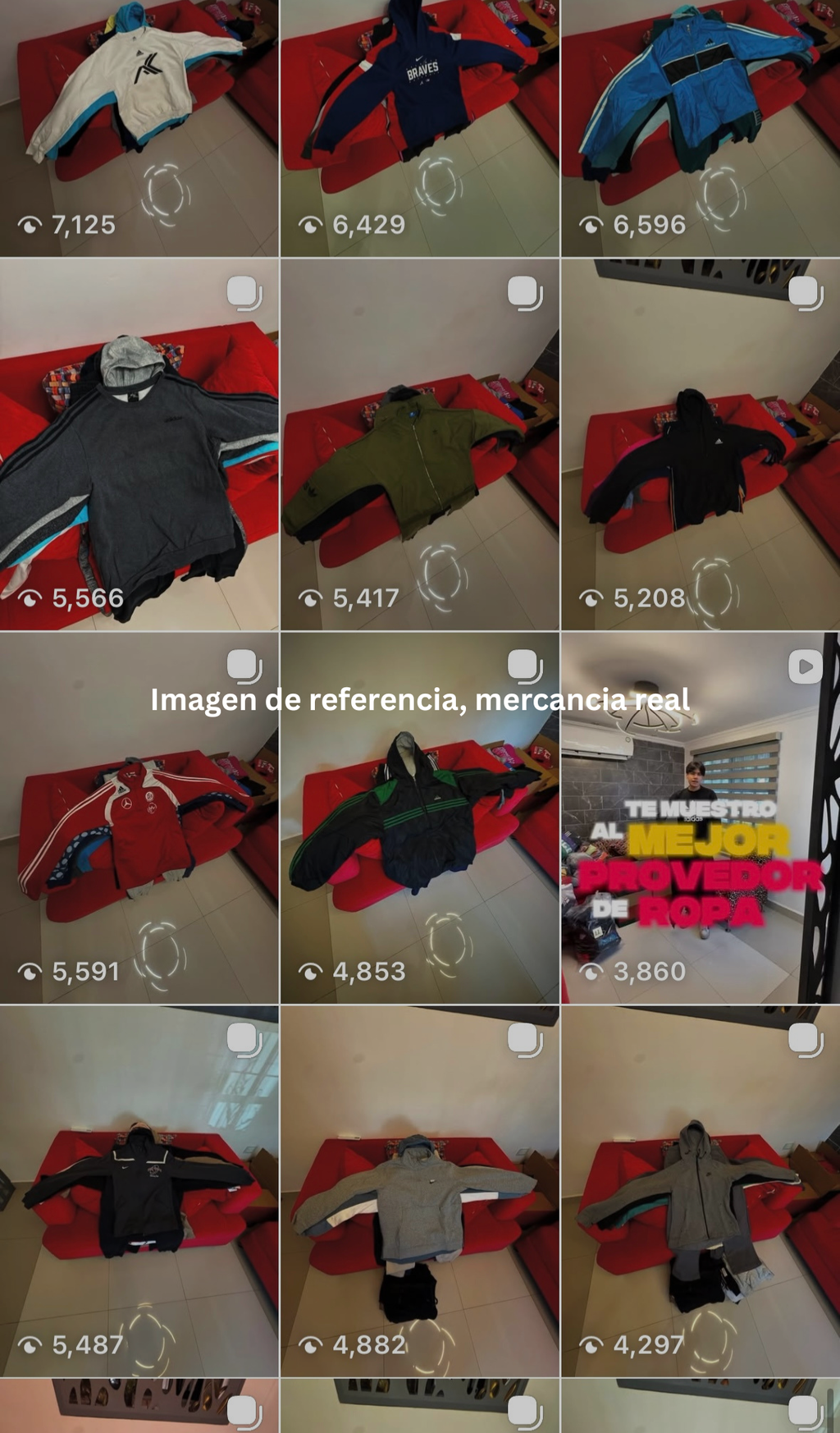 PACA DE INVIENRO