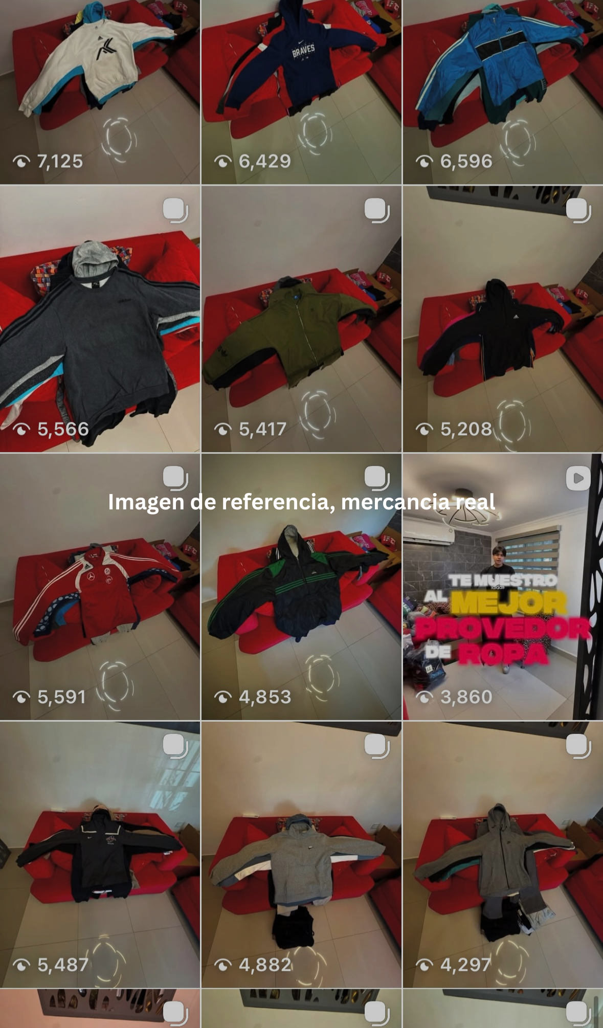 PACA DE INVIENRO